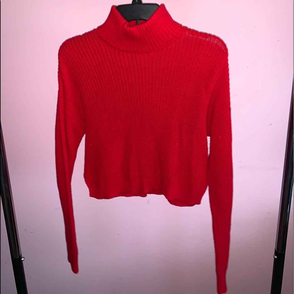 Red turtle neck cropped sweater